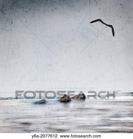 Seagull flying over ocean. View Large Photo Image Stock Image - Seagull flying over ocean.. Fotosearch