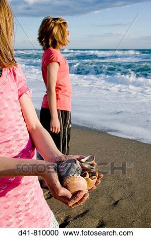 Seashells handfull View Large Photo Image Stock Image - Seashells handfull. Fotosearch