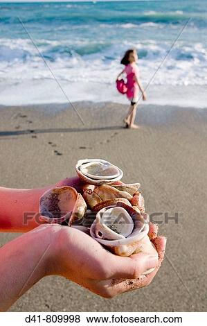 Seashells handfull View Large Photo Image Stock Photo - Seashells handfull. Fotosearch