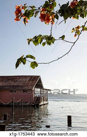 Seaside restaurant on Isla Colon, Bocas del Toro, Panama View Large Photo Image Stock Image - Seaside restaurant on Isla Colon, Bocas del Toro, Panama. Fotosearch