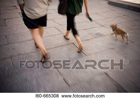 Segovia. Spain View Large Photo Image Stock Photo - Segovia. Spain. Fotosearch