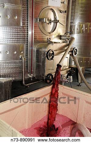 Seidelberg wine estate, Western Cape, Sotuh Africa View Large Photo Image Stock Image - Seidelberg wine estate, Western Cape, Sotuh Africa. Fotosearch