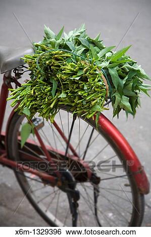 Stock Photograph - Seller's bicycle, Hanoi, Vietnam. Fotosearch