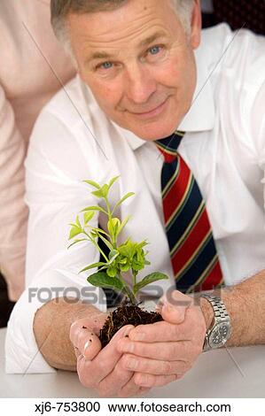 Senior businessman holding plant View Large Photo Image Stock Image - Senior businessman holding plant. Fotosearch