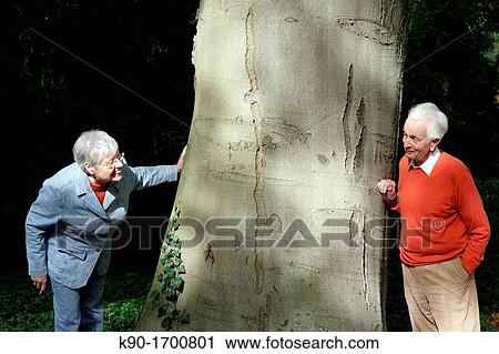 Senior caucasian couple, standing playful at a tree trunk, looking for each other, Hamburg, Germany, Europe View Large Photo Image Stock Image - Senior caucasian couple, standing playful at a tree trunk, looking for each other, Hamburg, Germany, Europe. Fotosearch