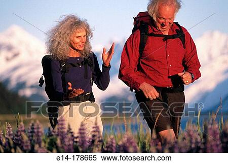 Senior couple hiking in field of lupine. Chugach National Forest. Alaska. USA View Large Photo Image Stock Photography - Senior couple hiking in field of lupine. Chugach National Forest. Alaska. USA. Fotosearch