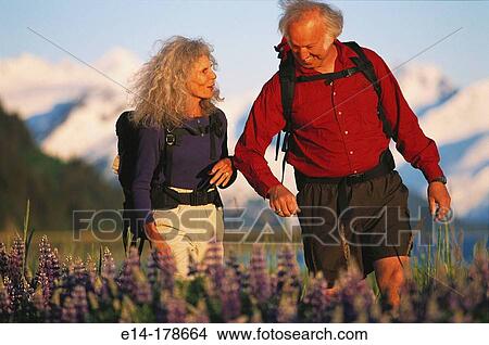 Senior couple hiking in lupine field. Chugach National Forest. Alaska. USA View Large Photo Image Picture - Senior couple hiking in lupine field. Chugach National Forest. Alaska. USA. Fotosearch
