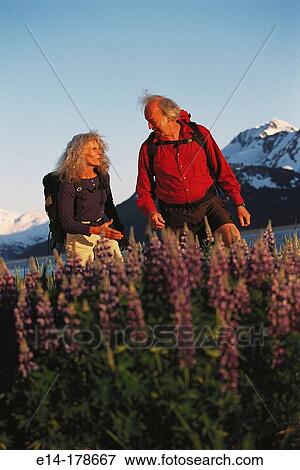Senior couple hiking in lupine field. Chugach National Forest. Alaska. USA View Large Photo Image Stock Photo - Senior couple hiking in lupine field. Chugach National Forest. Alaska. USA. Fotosearch