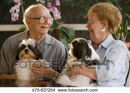 Picture - Senior couple holding pet dogs and laughing. Fotosearch
