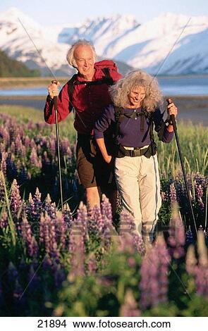 Senior couple in lupine field. Chugach National Forest. Alaska. USA View Large Photo Image Picture - Senior couple in lupine field. Chugach National Forest. Alaska. USA. Fotosearch