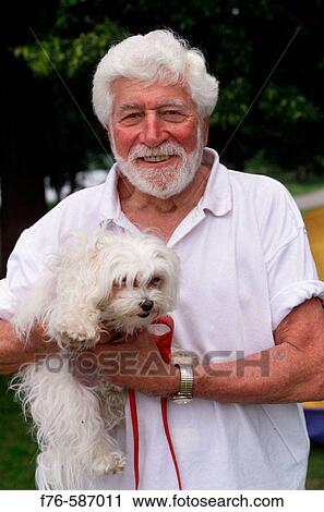 Senior man holding small white dog ( maltese). View Large Photo Image Stock Image - Senior man holding small white dog ( maltese).. Fotosearch