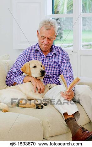 Senior man with dog View Large Photo Image Stock Image - Senior man with dog. Fotosearch