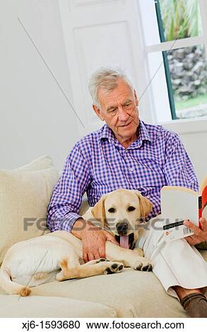 Senior man with dog View Large Photo Image Stock Image - Senior man with dog. Fotosearch