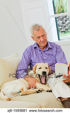 Senior man with dog View Large Photo Image Stock Image - Senior man with dog. Fotosearch