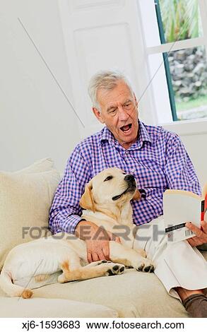 Senior man with dog View Large Photo Image Stock Image - Senior man with dog. Fotosearch