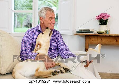 Senior man with dog View Large Photo Image Stock Image - Senior man with dog. Fotosearch