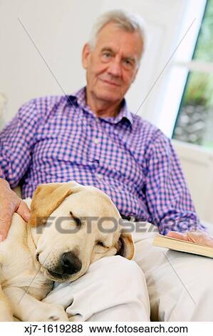 Senior man with dog View Large Photo Image Stock Photo - Senior man with dog. Fotosearch