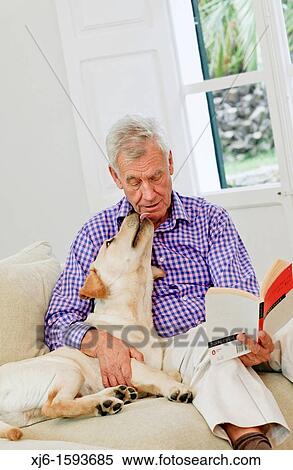 Senior man with dog View Large Photo Image Stock Photography - Senior man with dog. Fotosearch