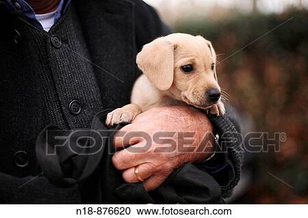 Senior man with his dog in La Devesa park, Girona. Catalonia, Spain View Large Photo Image Stock Image - Senior man with his dog in La Devesa park, Girona. Catalonia, Spain. Fotosearch