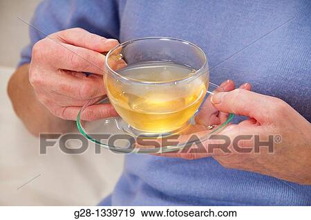 senior woman hands holding a cup of tea detail View Large Photo Image Stock Photo - senior woman hands holding a cup of tea detail. Fotosearch