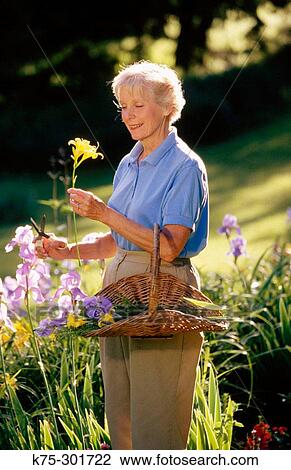 Senior woman picking flowers in her perennial garden View Large Photo Image Stock Image - Senior woman picking flowers in her perennial garden. Fotosearch