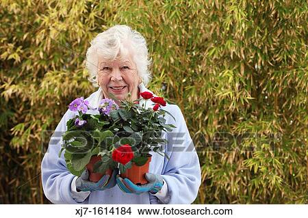 Picture - Senior woman. Fotosearch