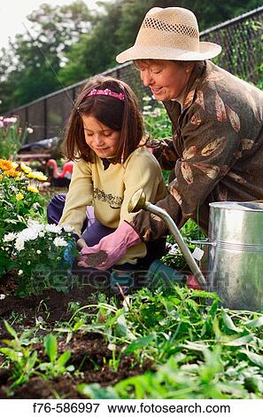 Senior woman planting flowers in garden with her granddaughter. View Large Photo Image Stock Photo - Senior woman planting flowers in garden with her granddaughter.. Fotosearch