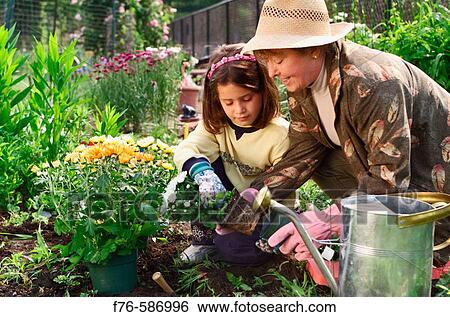 Senior woman planting flowers in garden with her granddaughter. View Large Photo Image Stock Photograph - Senior woman planting flowers in garden with her granddaughter.. Fotosearch