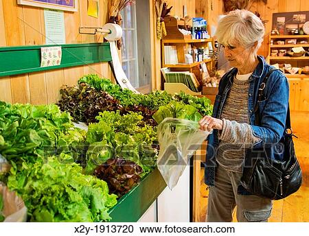 Senior woman shopping for vegetables at a farm market View Large Photo Image Stock Image - Senior woman shopping for vegetables at a farm market. Fotosearch