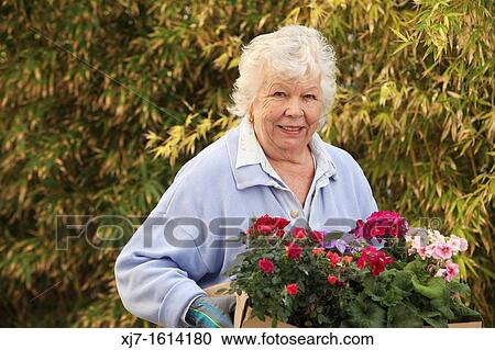 Senior woman View Large Photo Image Stock Image - Senior woman. Fotosearch