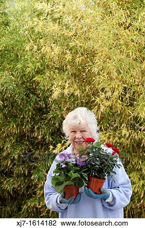 Stock Image - Senior woman. Fotosearch