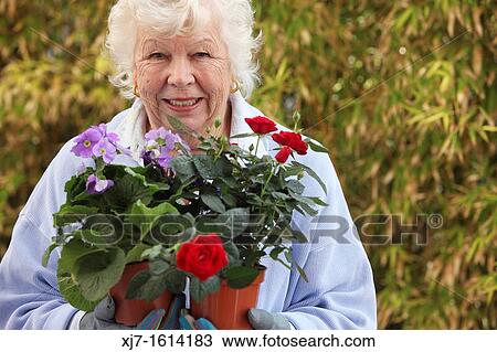Senior woman View Large Photo Image Stock Image - Senior woman. Fotosearch