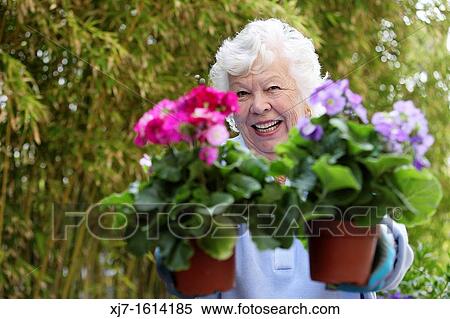 Senior woman View Large Photo Image Stock Photography - Senior woman. Fotosearch