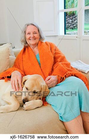 Senior woman with dog View Large Photo Image Stock Photo - Senior woman with dog. Fotosearch