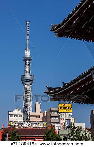 Senso-ji Temple and Tokyo Sky Tree Asakusa Tokyo city, Japan, Asia View Large Photo Image Picture - Senso-ji Temple and Tokyo Sky Tree Asakusa Tokyo city, Japan, Asia. Fotosearch