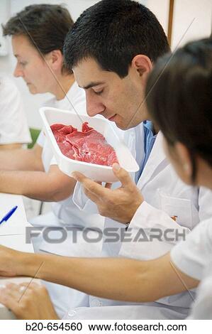 Sensor Laboratory. Sensor analysis. Meat products taste. AZTI-Tecnalia. Technological Centre specialised in Marine and Food Research. Sukarrieta, Bizkaia, Euskadi. Spain. View Large Photo Image Stock Image - Sensor Laboratory. Sensor analysis. Meat products taste. AZTI-Tecnalia. Technological Centre specialised in Marine and Food Research. Sukarrieta, Bizkaia, Euskadi. Spain.. Fotosearch