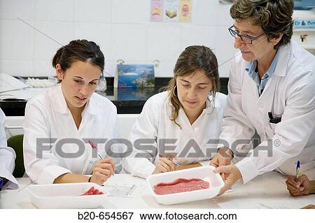 Sensor Laboratory. Sensor analysis. Meat products taste. AZTI-Tecnalia. Technological Centre specialised in Marine and Food Research. Sukarrieta, Bizkaia, Euskadi. Spain. View Large Photo Image Stock Photo - Sensor Laboratory. Sensor analysis. Meat products taste. AZTI-Tecnalia. Technological Centre specialised in Marine and Food Research. Sukarrieta, Bizkaia, Euskadi. Spain.. Fotosearch