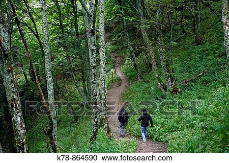 Sep 2008 - People going a trail walk near Col de Schlucht, Route des Cretes Route of the Crests, in the Vosges mountains, Alsace, France View Large Photo Image Stock Image - Sep 2008 - People going a trail walk near Col de Schlucht, Route des Cretes Route of the Crests, in the Vosges mountains, Alsace, France. Fotosearch