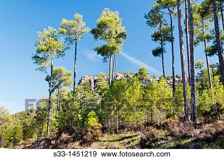 Serran? a de Cuenca Castilla la Mancha Spain View Large Photo Image Stock Photo - Serran? a de Cuenca Castilla la Mancha Spain. Fotosearch