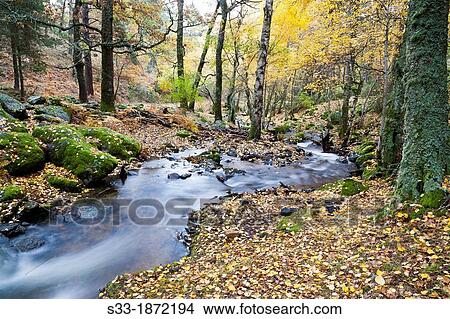 Sestil de Maillo stream in the Sierra de Guadarrama Canencia Madrid Spain View Large Photo Image Picture - Sestil de Maillo stream in the Sierra de Guadarrama Canencia Madrid Spain. Fotosearch