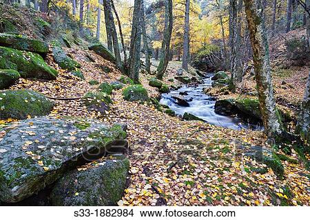 Sestil de Maillo stream in the Sierra de Guadarrama Canencia Madrid Spain View Large Photo Image Picture - Sestil de Maillo stream in the Sierra de Guadarrama Canencia Madrid Spain. Fotosearch