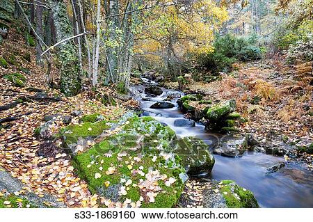 Stock Image - Sestil de Maillo stream in the Sierra de Guadarrama Canencia Madrid Spain. Fotosearch