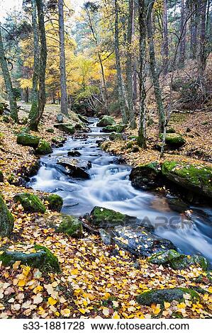 Sestil de Maillo stream in the Sierra de Guadarrama Canencia Madrid Spain View Large Photo Image Stock Photo - Sestil de Maillo stream in the Sierra de Guadarrama Canencia Madrid Spain. Fotosearch