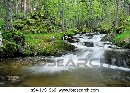 Stock Photograph - Sestil de Maillo stream near Canencia pass, Madrid, Spain. Fotosearch