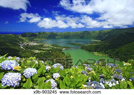 Sete Cidades crater and the twin lakes, with hydrangeas on the foreground Sao Miguel island, Azores islands, Portugal View Large Photo Image Stock Photography - Sete Cidades crater and the twin lakes, with hydrangeas on the foreground Sao Miguel island, Azores islands, Portugal. Fotosearch