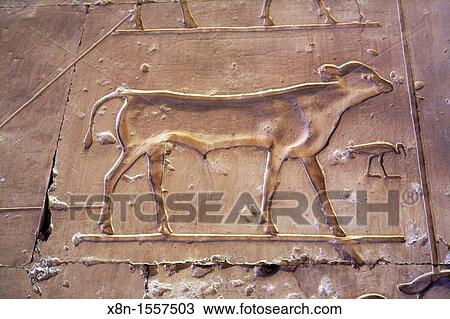 Seti I temple 13th century BC, Abydos, Egypt View Large Photo Image Stock Image - Seti I temple 13th century BC, Abydos, Egypt. Fotosearch