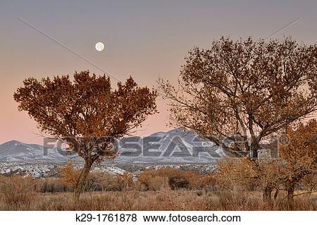 Setting moon over the Chupadera Range, Bosque del Apache NWR, New Mexico, USA View Large Photo Image Stock Photo - Setting moon over the Chupadera Range, Bosque del Apache NWR, New Mexico, USA. Fotosearch