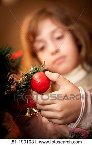 Setting the christmas tree View Large Photo Image Stock Image - Setting the christmas tree. Fotosearch