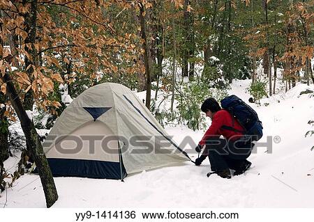 Stock Photograph - Setting up tent in the snow - Brevard, North Carolina USA. Fotosearch