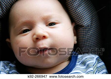 Seven-week-old baby boy View Large Photo Image Stock Photo - Seven-week-old baby boy. Fotosearch